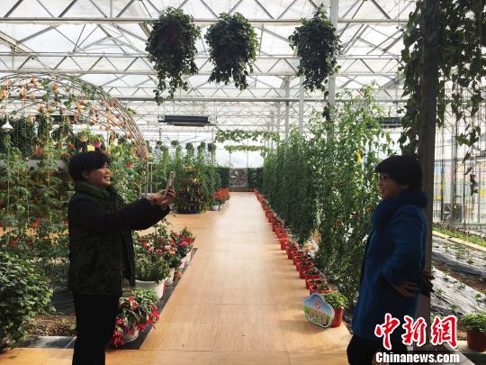 在资源枯竭，寻求替代产业的过程中，万山把“旅游+”作为转型发展的战略着力点。图为游客在万山九丰农业博览园游览。　杨云 摄