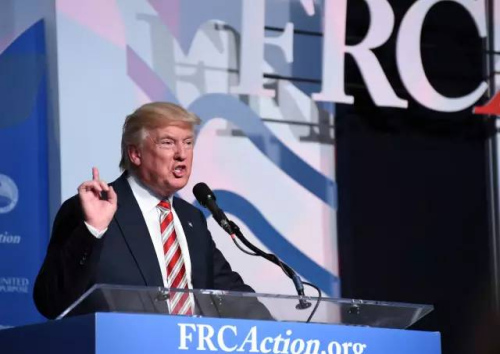 中新社记者 张蔚然 摄