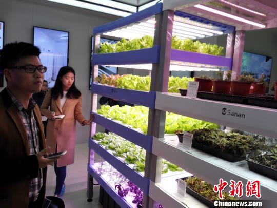 媒体记者参访植物工厂。　杨伏山 摄