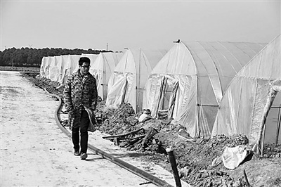 王胜不介意被人叫他农民