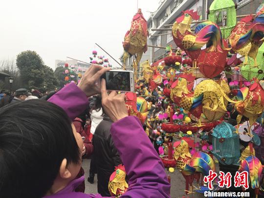 图为游客观赏生肖鸡灯。　杨颜慈 摄