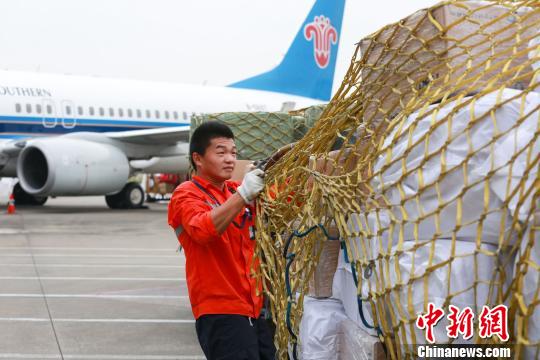 现场装卸人员做好现场装卸的安全装运 李鹏程 摄