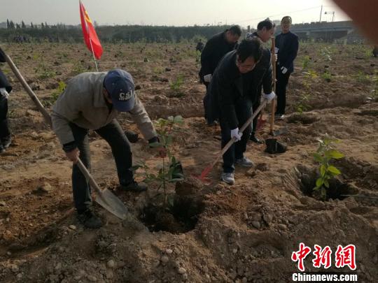 浙江柯城猪棚荒地披新绿。　陈岚提供 摄