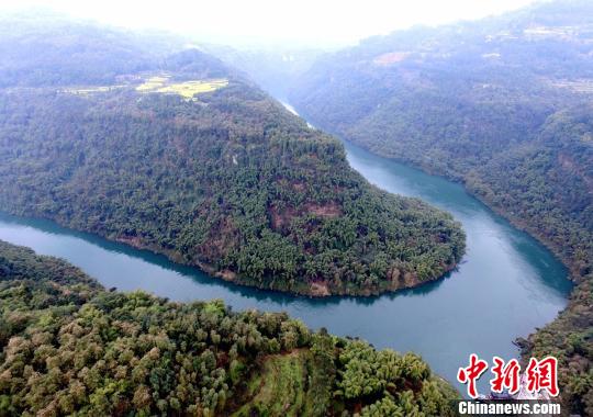 四川桫椤湖景区绿树成荫。　刘忠俊　摄