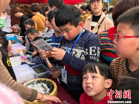 11日，首届晋江紫菜文化节在福建晋江举办。图为市民在展台前品尝紫菜产品。　刘真真 摄