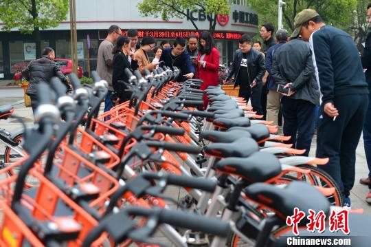 全国首个共享单车示范县市落户枝江 钟欣 摄