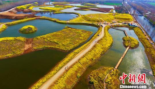 清明节期间，台儿庄运河国家湿地公园航拍。　高启民 摄