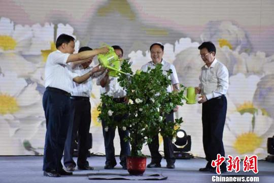 与会领导共同为“油茶”浇上“发展甘露”，为活动启幕。　李俊杰 摄