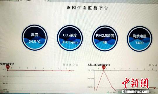 2017中国国际大数据产业博览会吸引310余家海内外参展商带来千余项前沿产品、技术和解决方案。图为“贵州茶云”平台。　杨云 摄