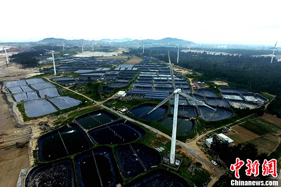 资料图：图为位于福建漳浦海边的风力发电场。(资料图片) 中新社记者 王东明 摄