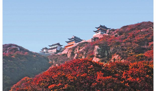 相约桐柏山同赏红叶景共寄红叶情