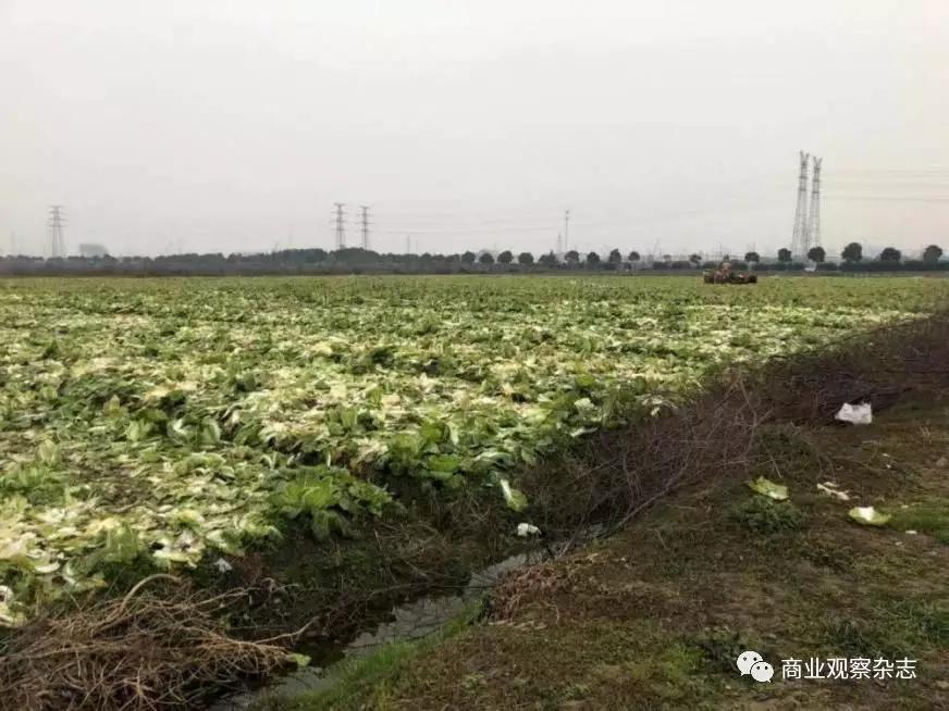 积极复垦私人财产遭损害?昆山综合保税区被指“卸磨杀驴”