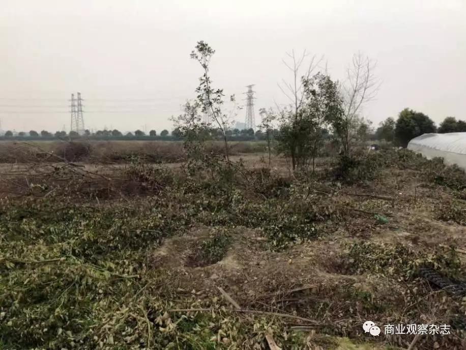 积极复垦私人财产遭损害?昆山综合保税区被指“卸磨杀驴”