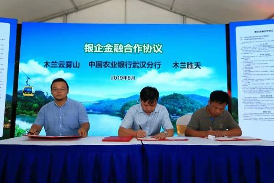 文旅融合促进乡村振兴 2019·武汉市第二届乡村旅游节启动