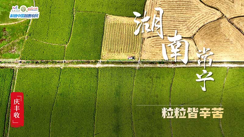 豐收進行時
