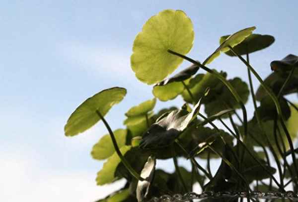 东方财富5分钟K线显示不全_东方财富k线价格不对