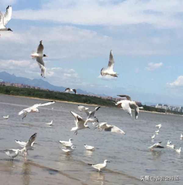 秦皇岛最著名的5个景点(秦皇岛最著名的5个景点秦皇岛到承德多远)