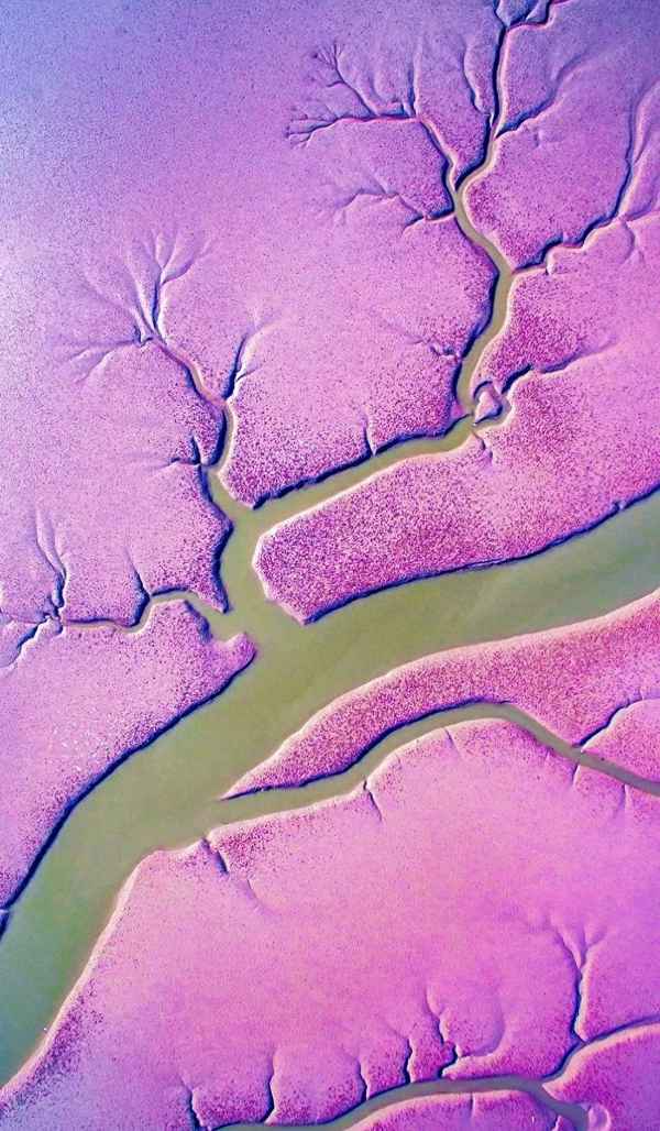 今古长如白练飞把什么比作什么(古今长如白练飞一条界破青山色描写的是什么景致)