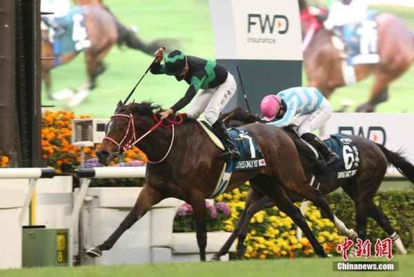 马会财经彩图1a_马会财经a全年图库