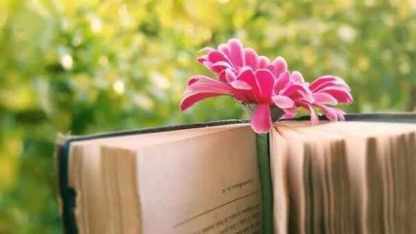 财经严选,严格财经