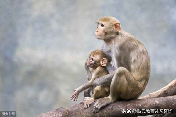 高二生物知識點總結歸納大全、高二物理重點知識歸納筆記