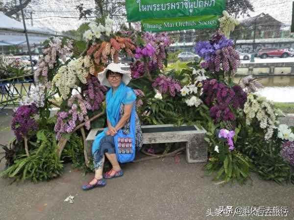 清邁自由行最佳時間(清邁自由行攻略最詳細的地方)