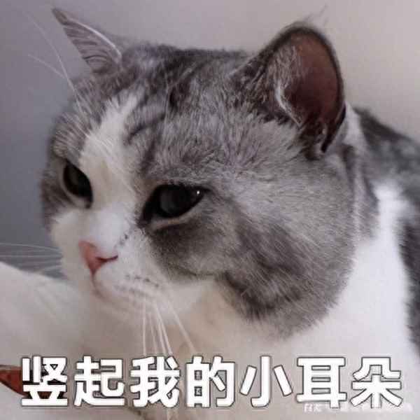 銀行自我介紹面試技巧_銀行自我介紹面試技巧與方法