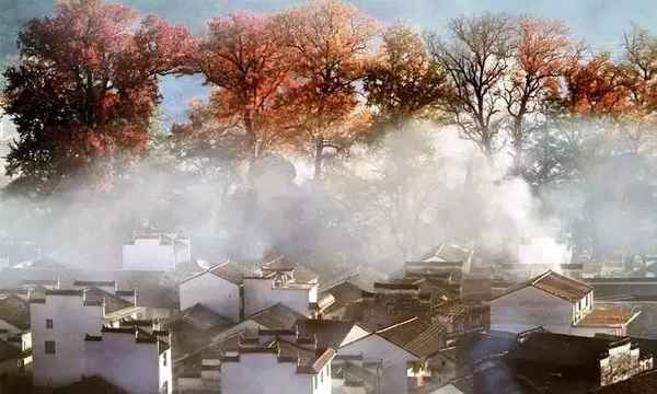 家族文化—家族文化传承