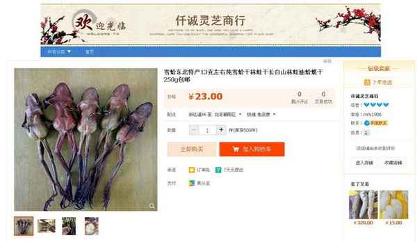 张媛媛财经—张媛媛的资料