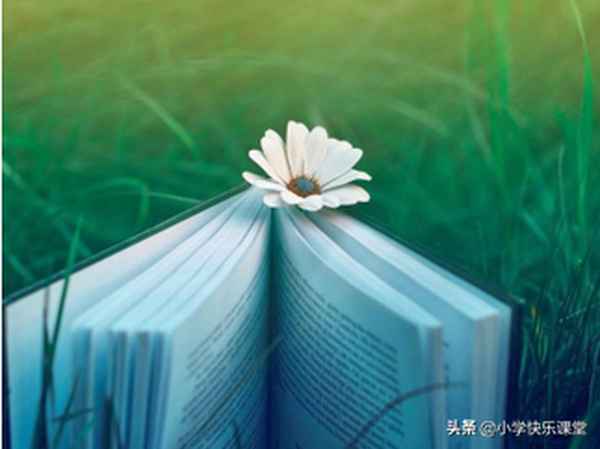 帶靜的四字成語 唯美-帶靜字的高雅的詞語