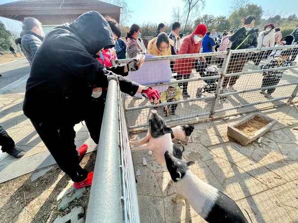 大陽山植物園門票多少錢一張、大陽山植物園門票如何購買