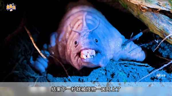 80邁是多少時速(100邁和100碼有區(qū)別嗎)