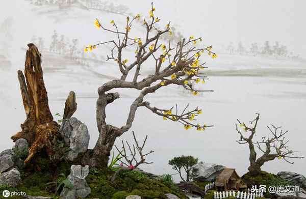 长干曲四首全诗原文解释;《长干曲》