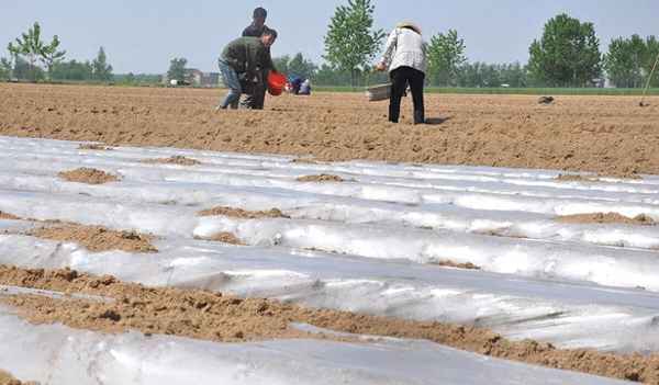 监督执法工作规定21条解读-监督执法工作规定几章几条
