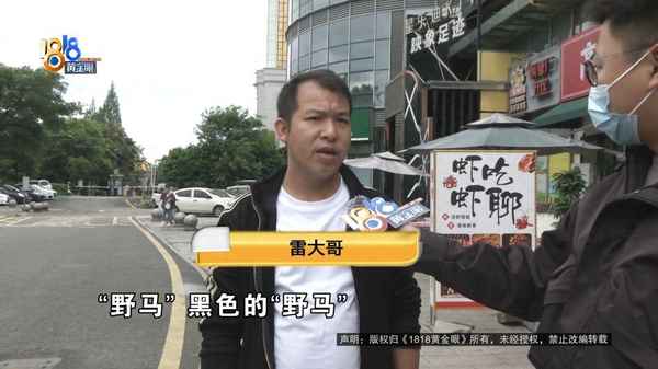 野馬汽車;野馬汽車的圖片和價格圖片
