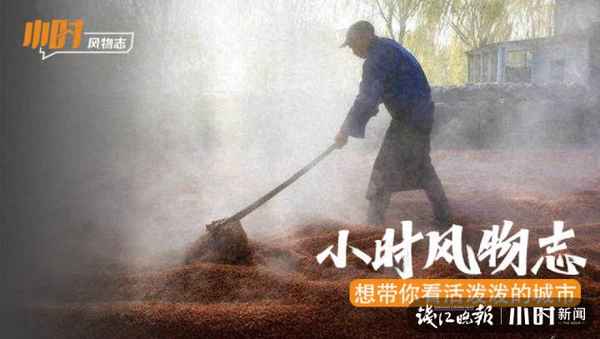 湖羊醬油和普通醬油的區別、湖羊醬油特級包裝