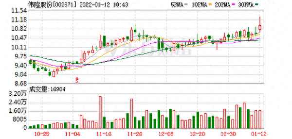 伟隆股份2023年二季报最新—伟隆股份002871