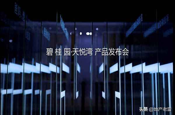 房产发布会(房产发布会什么公司举行)