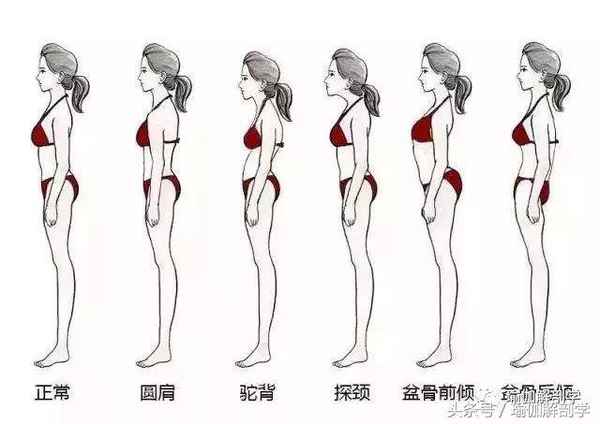 亞健康如何鍛煉身體、亞健康怎樣開(kāi)始鍛煉身體