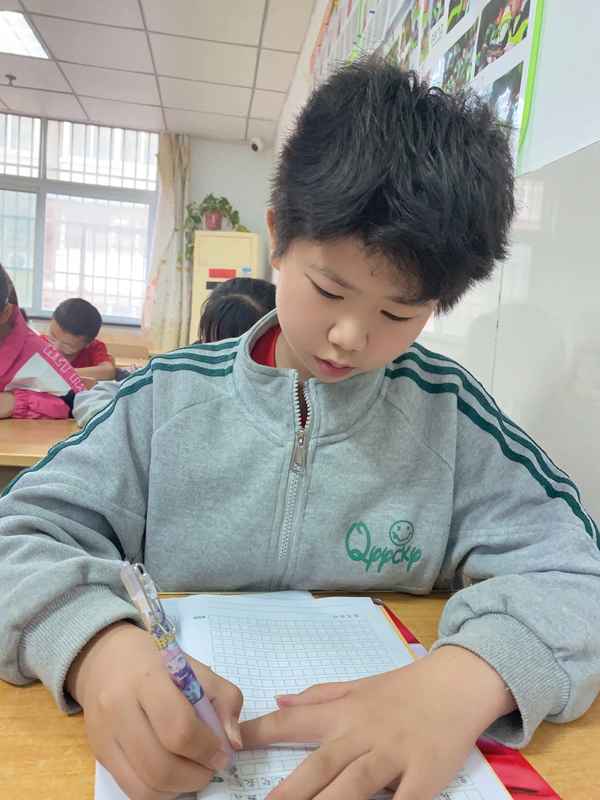 種綠豆的觀察日記8天(種綠豆的觀察日記7天400字)