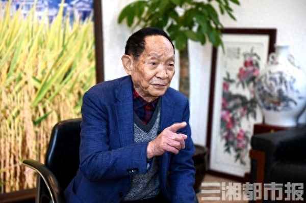 袁隆平的水稻哪里有賣;袁隆平的水稻哪里有賣的