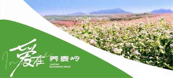藍田周邊旅游景點大全(藍田周邊一日游自駕)