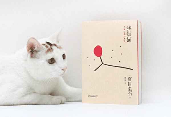 我是貓精彩片段摘抄(我是貓精彩語段)