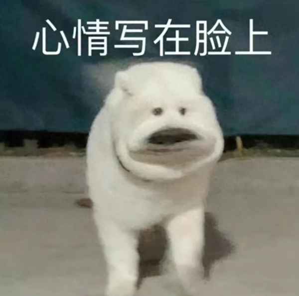 沪金主连最新行情(沪金主连是什么意思)