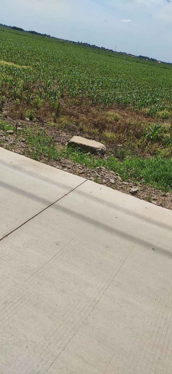 三年寸草不生的除草剂、铁路专用灭生性除草剂