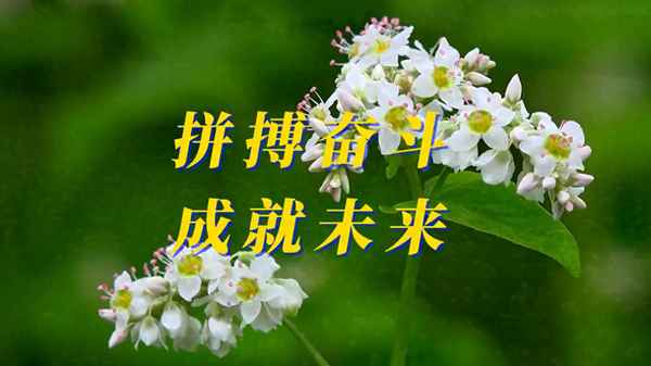 財(cái)經(jīng)奮斗-有關(guān)財(cái)經(jīng)的文章