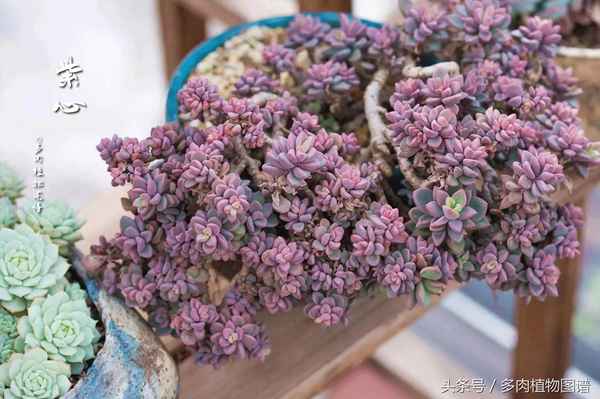 高层外面可以装花架么—高层外面可以装晾衣架吗