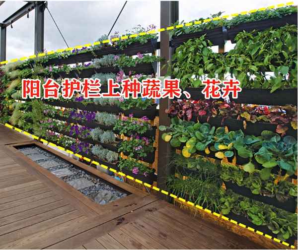 阳台护栏怎么遮挡最隐私—阳台护栏怎么遮挡最隐私的