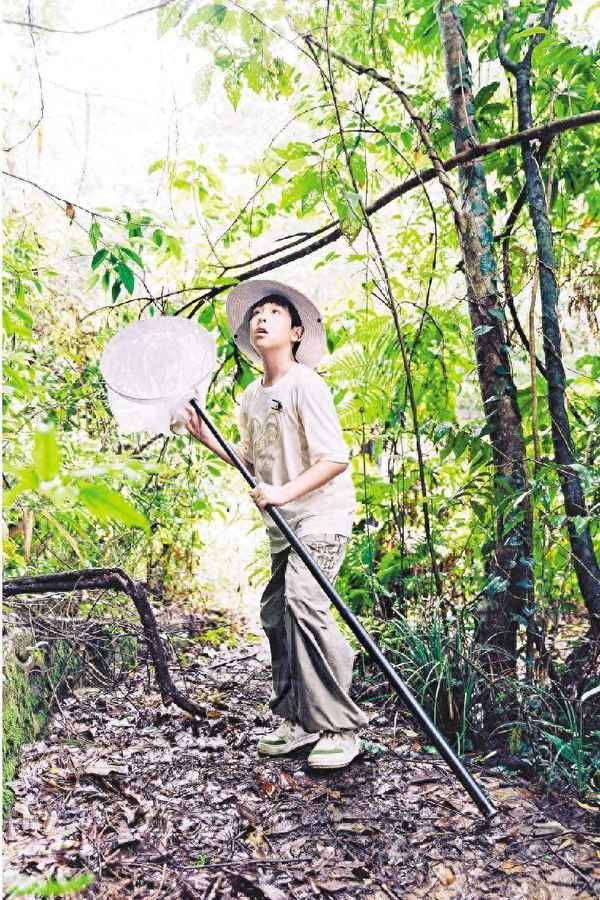自然教育的名詞解釋;自然教育名詞解釋外國(guó)教育史