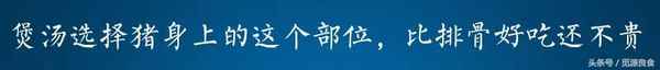 豬龍骨的最佳搭配(燉龍骨湯放什么材料)